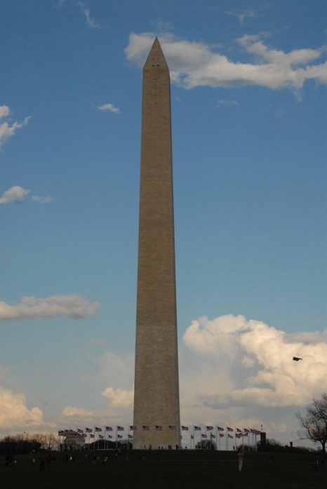 DSC_0325